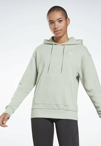 Sudadera con capucha de color verde claro, confeccionada con una tela suave, que cuenta con un bolsillo frontal y puños acanalados. Logotipo impreso en el lado izquierdo del pecho.