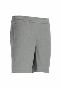 CHASIN' STONE.S ANZAR - Šortky - light grey
