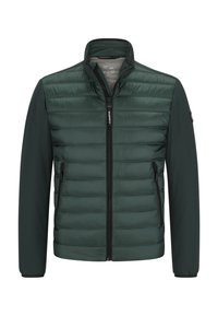 Unausgewählt, dunkelgrün