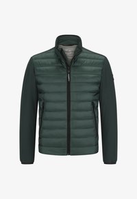 Unausgewählt, dunkelgrün