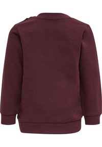 Maroon sweatshirt med långa ärmar, rund halsringning och ribbade mudd. Slätt material, minimalistisk design, inga synliga mönster eller detaljer.