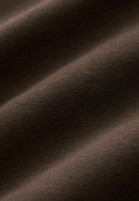 Next HEAVYWEIGHT BRUSHED CREW NECK - Pusa - chocolate brown