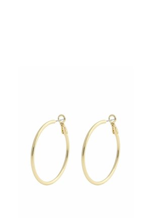 Pair of simple, thin gold hoop earrings with hinged clasp closures displayed on a white background.