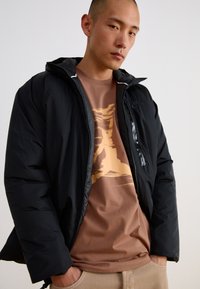 Jordan CREW - Apdrukāts T-krekls - archaeo brown/orange chalk/orange chalk