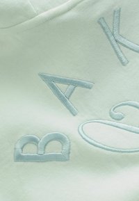 Detailík svetlozeleného textilu s vyvýšenými vyšitými písmenami B, A, K a dekoratívnym vírom v svetlomodrej niťi.
