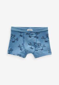 Next SOFT WAISTBAND 5 PACK - REGULAR FIT - Panties - seaside print