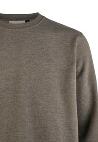 Brown sweater made of soft fabric, featuring a crew neck and a small embroidered logo on the left chest. Classic fit with long sleeves.