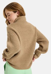 Beige gestreifter Pullover mit hohem Kragen und lockeren Ärmeln, aus weichem Material gefertigt. Der Rücken hat einen leicht abgerundeten Saum.