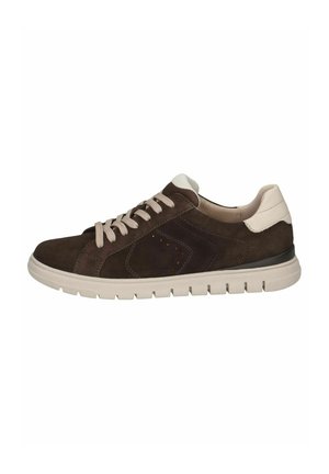 Caprice, SNEAKER - Baskets basses - dk brown comb