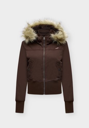 Hollister Co., PEYTON PUFFER - Abrigo de invierno - 440