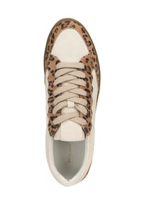 Sneaker beige con dettagli in suede leopardato e lacci beige, vista dall'alto.