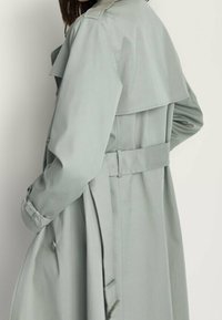 Massimo Dutti Prochowiec