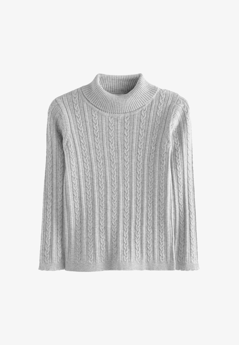 Next ROLL NECK - REGULAR FIT - Svetr - grey