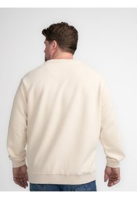 Beige sweatshirt van zacht materiaal, met een ronde halslijn en geribbelde manchet. De achterkant heeft geen zichtbare logo's of patronen.