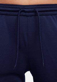Nike Performance Nationalmannschaft - blauweiss