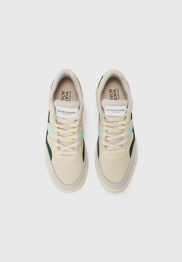 NEW CUP 12 - Trainers3