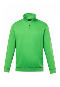 Maglione verde con colletto alto, zip frontale a metà e maniche lunghe. Tessuto morbido e discreto dettaglio del logo sul petto.