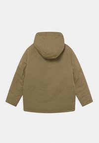 Brown hooded winter jacket with long sleeves, quilted stitching on hood, and a straight hem viewed from the back on a white background.