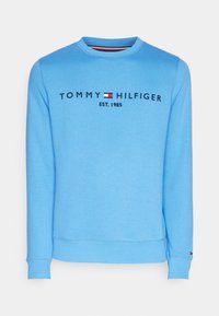 Felpa di cotone azzurro chiaro con colletto a girocollo, maniche lunghe e logo ricamato "TOMMY HILFIGER EST. 1985" sulla parte anteriore.