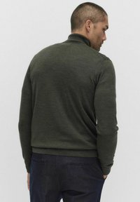 Groene, gebreide trui met hoge kraag, getailleerd ontwerp en geribde manchetten. Lichte textuur, met een rechte zoom, gezien vanaf de achterkant.