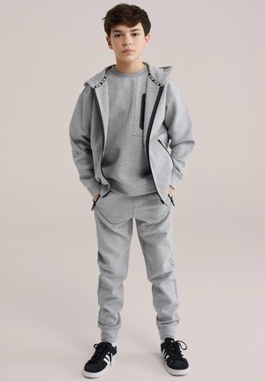 SALTY DOG - Bluză de molton cu fermoar - blended light grey