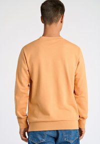 Ljus persiko-färgad tröja med rund halsringning och ribbade ärmslut, gjord av ett slätt tyg. Har en rak nederkant och avslappnad passform.