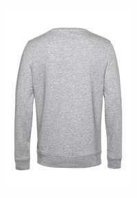 Felpa grigia con maniche lunghe, scollo tondo e tessuto morbido. Presenta un design semplice con polsini e orlo a costine.