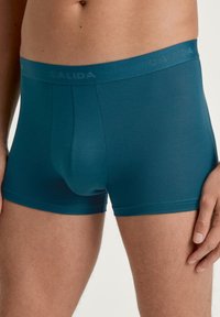 Teal bokser shorts van zacht materiaal, met een logo op de elastische tailleband en een snug fit met minimale naden voor comfort en ondersteuning.