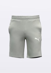 Hellgraue Sportshorts mit elastischem Bund und weißem Puma-Logo am rechten Oberschenkel, vor einfarbigem Hintergrund präsentiert.