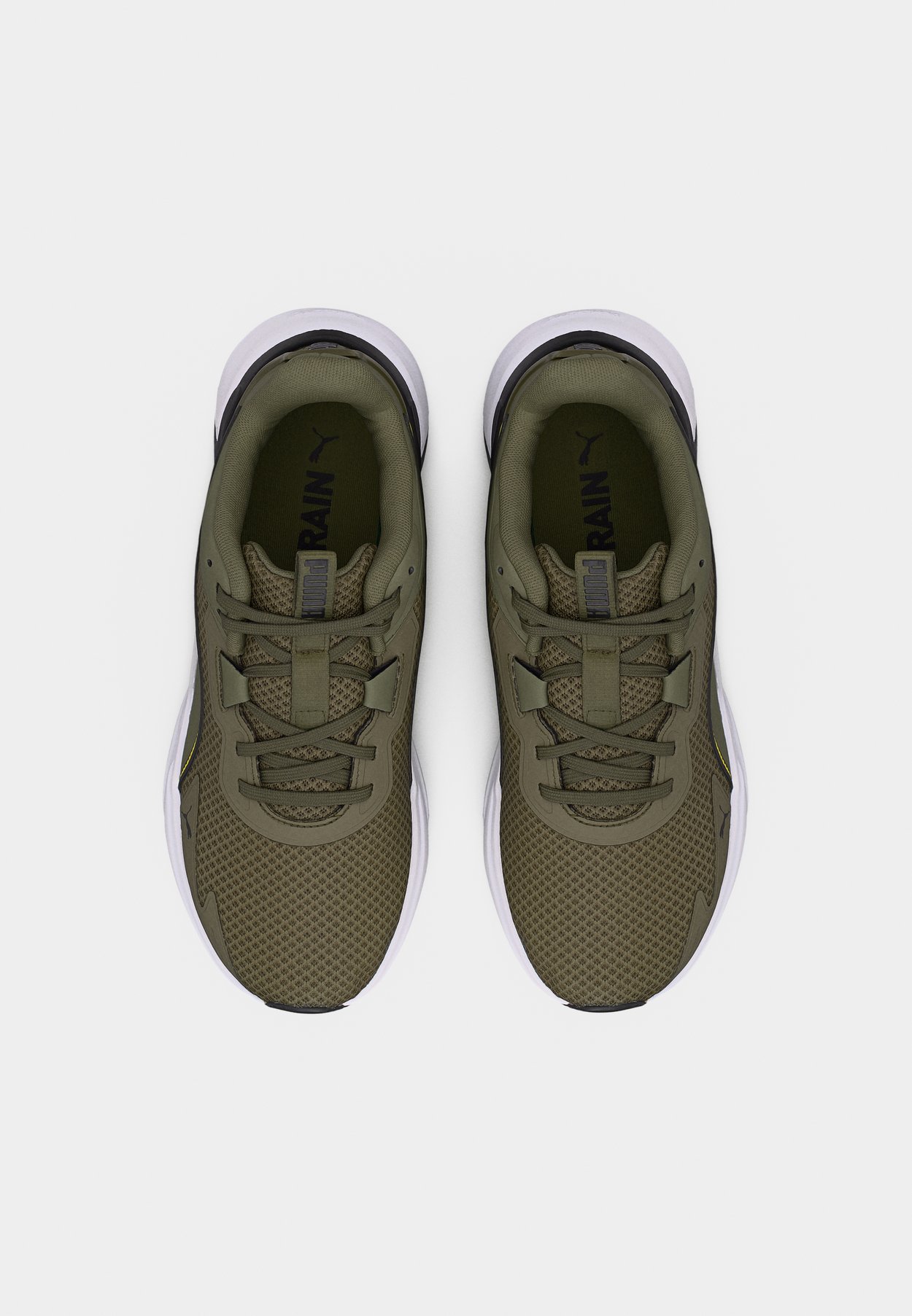 DISPERSE XT 4
