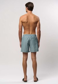 Meeste triibulised ujumispüksid helesinistrohelisest kangast, millel on elastne talje, küljetaskud ja üks tagatasku.