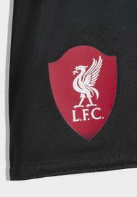 Schwarzer Stoff mit einem roten Wappen-Logo, das einen weißen Lebervogel zeigt und am unteren Rand den Text "L.F.C." enthält. Glatte Textur mit matter Oberfläche.