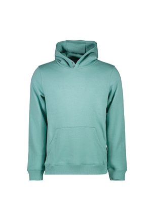 Mintgroene hoodie van zacht materiaal, met een voorzak, ribgebreide manchetten en een reliëflogo op de borst.
