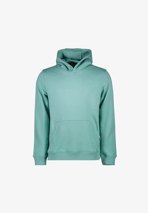 Mintgroene hoodie van zacht materiaal, met een voorzak, ribgebreide manchetten en een reliëflogo op de borst.