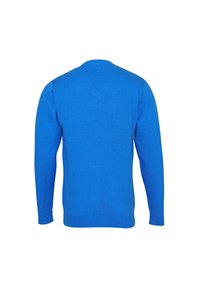 U.S. Polo Assn. Neule - royal blue