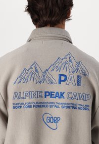 Pal Sporting Goods ALPINE ZONE HALF ZIP C - Sweatshirt - taupe