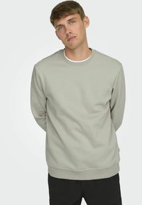 Lichtgrijze crewneck sweatshirt van zachte stof, met lange mouwen, geribbelde manchetten en een eenvoudig ontwerp zonder logo's.
