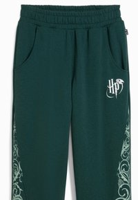 Tamne tamne trenirke sa elastičnim pojasom, bočnim džepovima i bijelim "HP" logotipom; s dekorativnim svijetlozelenim uzorkovanim detaljima sa strane.