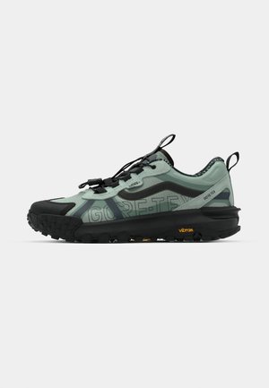 Pantofii pentru alergare pe poteci, de culoare verde deschis și negru. Prezintă material Gore-Tex, talpă texturată, șireturi reglabile și un branding proeminent.