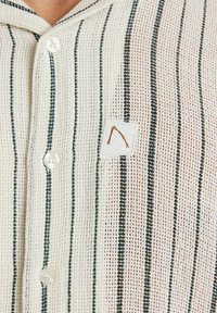 CHASIN' DOBY S STRIPE - Overhemd - green
