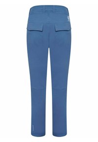 Dare 2B REPRISE WANDER - Stoffhose - blue