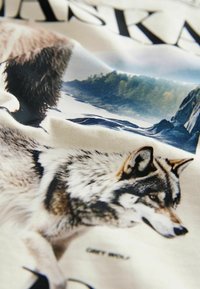 Next GRAPHIC - Langarmshirt - ecru white animals