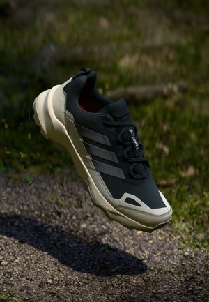 SKYCHASER AX5 GTX - Turistiniai batai - carbon/grey four/alumina