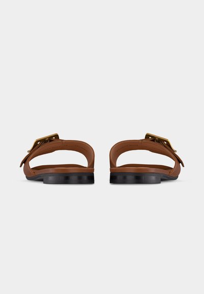 Sandales à glissière en cuir marron avec larges brides et grandes boucles dorées, semelles plates noires, vues de dos sur fond blanc.