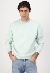Mintgrøn sweatshirt med rund halsudskæring og ribstrikkede ærmer, prydet med et diskret logo i hvid tekst på fronten. Båret over lyseblå jeans.