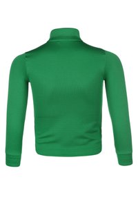 Top aderente verde a maniche lunghe con collo a imbuto, realizzato in materiale liscio ed elastico con texture a coste. Senza loghi o modelli visibili.