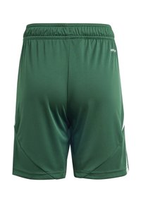 Gröna sportshorts med en lätt, slät textur, elastisk midja och vita sidodetaljer.
