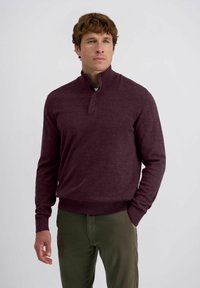 Burgunderfarbener Pullover mit einem Viertel-Reißverschluss-Kragen, gerippten Bündchen und Saum. Strukturiertem Stoff, kombiniert mit olivgrünen Hosen.
