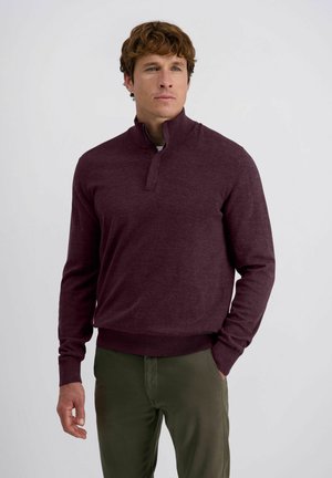 Burgunderfarbener Pullover mit einem Viertel-Reißverschluss-Kragen, gerippten Bündchen und Saum. Strukturiertem Stoff, kombiniert mit olivgrünen Hosen.