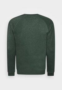 Sudadera verde hecha de una tela suave, con cuello redondo, mangas largas y puños acanalados. La parte posterior es lisa, sin detalles adicionales.